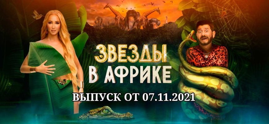 звезды в африке 8 серия