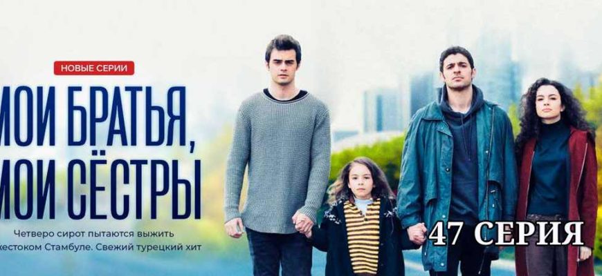 Мои братья и сестры 47 серия
