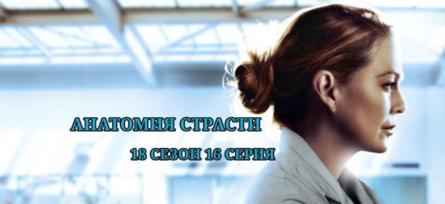 Анатомия страсти 18 сезон 16 серия