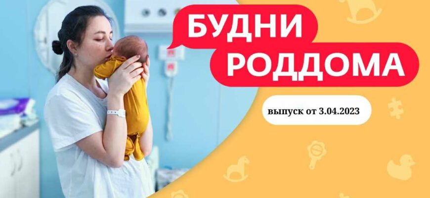 Будни роддома выпуск от 3.04.2023