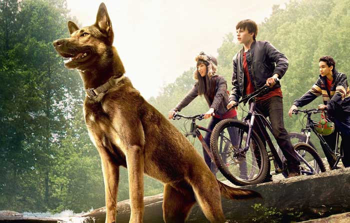 новые фильмы про собак