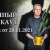 Полный блэкаут выпуск 28.11.2023